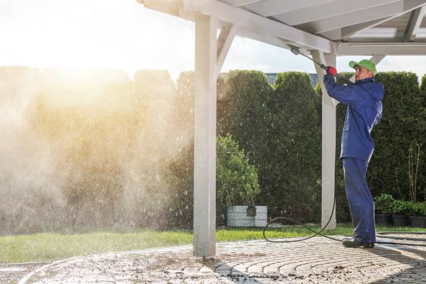 Best Soft Washing  in Mexico Beach, FL